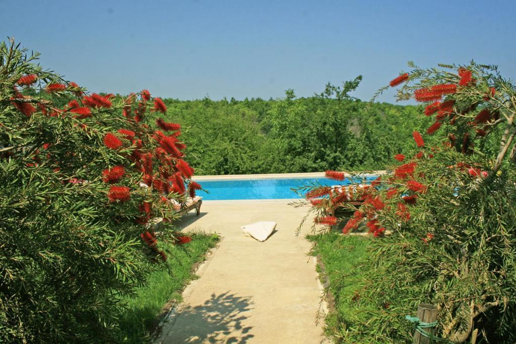 Ormanevi Otantik Otel Ağva Dış mekan fotoğraf