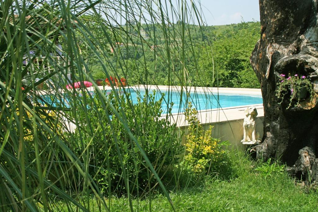 Ormanevi Otantik Otel Ağva Dış mekan fotoğraf
