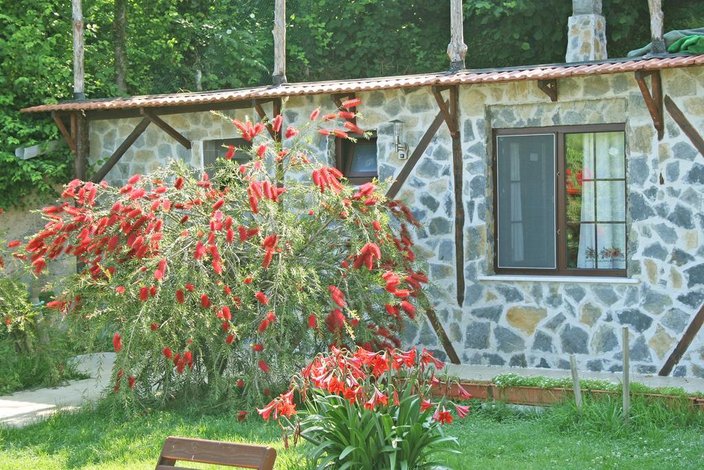 Ormanevi Otantik Otel Ağva Dış mekan fotoğraf